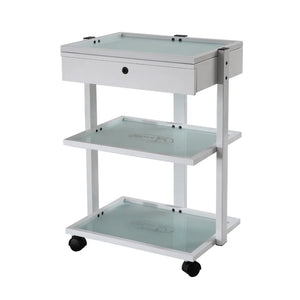 Silver Fox 3 Shelf Esthetician Cart with locking drawer (1040A)