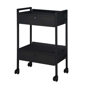 2 Shelf esthetician Cart with 2 locking drawers (1019)