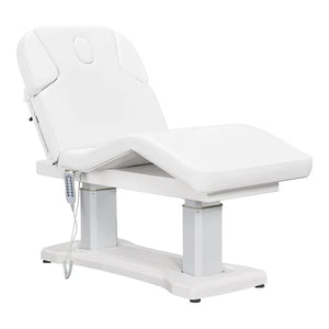 DIR Tranquility 4 Motors Electric Medical Spa Treatment Table (8818)