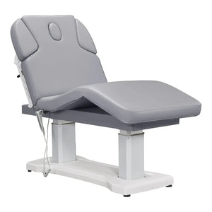 Dream In Reality Upholstery Color: Gray