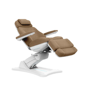 Modern Medical Spa Chair (2246BN)