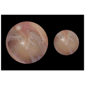 Adstation™ 5610-3/5680-3 Basic 3.5V Diagnostix Wall System PMV