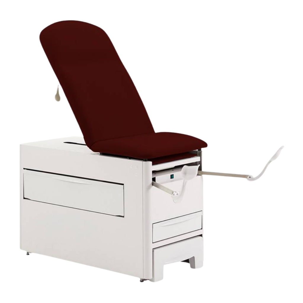Brewer Access Exam Table 1000A with Cabernet Upholstery shown with stir-ups