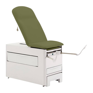 Brewer Access Exam Table 1000A with Ivy Upholstery shown with stir-ups