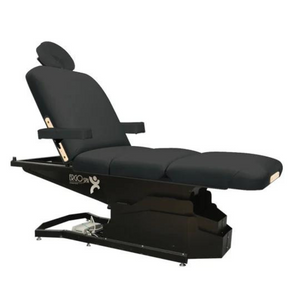 Custom Craftworks Spa Series ErgoSpa Deluxe Electric Treatment Table - Monument