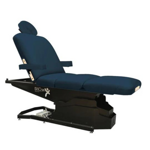 Custom Craftworks Spa Series ErgoSpa Deluxe Electric Treatment Table - Peacock