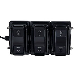 Dream In Reality Bellucci Electrical Facial Bed (8194): Black, Foot Control