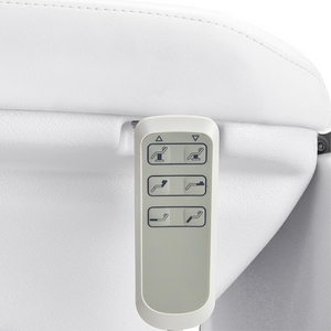 Dream In Reality Bellucci Electrical Facial Bed (8194): Remote