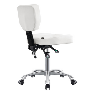 Dream In Reality Cadence Medical Stool (9030YH): White, Back View