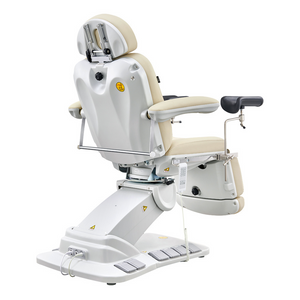 Dream In Reality Fiona Exam Table With Stirrups (8246EBYH-stirrups): Beige, Back View