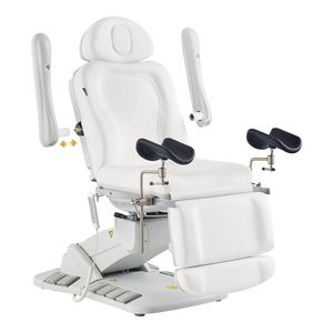 Dream In Reality Fiona Exam Table With Stirrups (8246EBYH-stirrups): Detachable Armrests