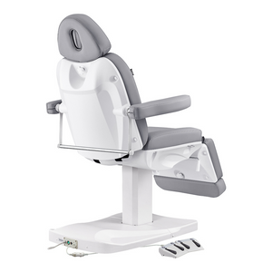 Dream In Reality Ink Electric Esthetician Chair (8103): Gray, Back View