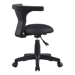 Dream In Reality Largo Beauty Salon Stool (Black): Back View