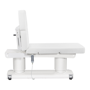 Dream In Reality Luxi 4 Motors Medical Spa Treatment Table (8838): Adjustable Backrest