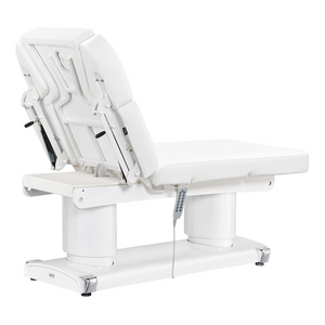 Dream In Reality Luxi 4 Motors Medical Spa Treatment Table (8838): White, Back View