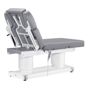 Dream In Reality Luxi 4 Motors Medical Spa Treatment Table (8838): Gray, Back View