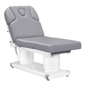 Dream In Reality Luxi 4 Motors Medical Spa Treatment Table (8838): Gray, Side View