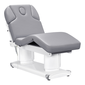 Dream In Reality Luxi 4 Motors Medical Spa Treatment Table (8838): Gray, Adjustable Footrest