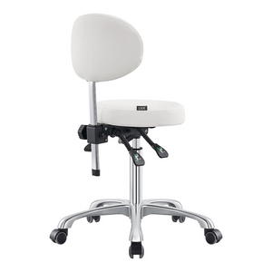 Dream In Reality Polaris Rolling Stool (White): Back View