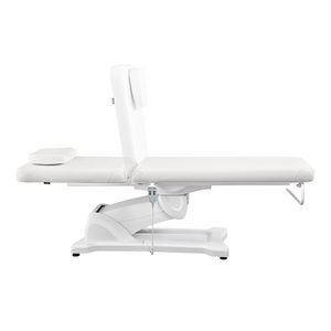 Dream In Reality Serenity Electric Treatment Table (8808): Adjustable Backrest