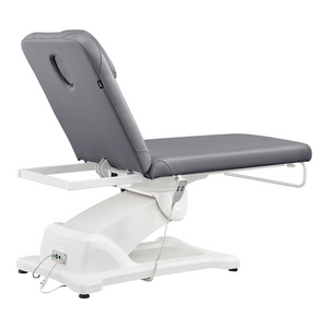 Dream In Reality Serenity Electric Treatment Table (8808): Gray, Back View
