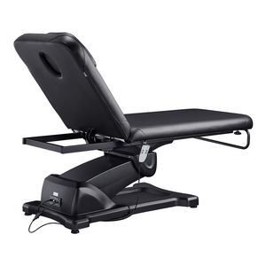 Dream In Reality Serenity Electric Treatment Table (8808): Black, Back View
