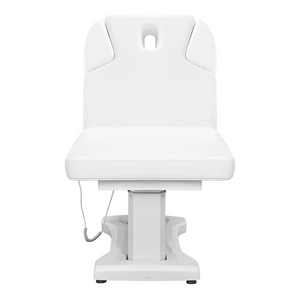 Dream In Reality Tranquility 4 Motors Electric Medical Spa Treatment Table (8818): White, Front View