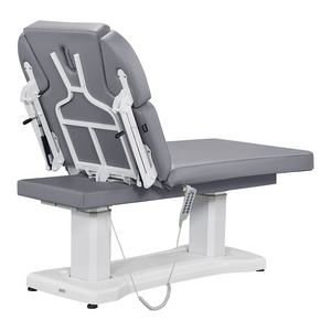 Dream In Reality Tranquility 4 Motors Electric Medical Spa Treatment Table (8818): Gray, Back View