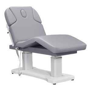 Dream In Reality Tranquility 4 Motors Electric Medical Spa Treatment Table (8818): Gray, Side View