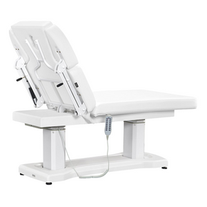 Dream In Reality Tranquility 4 Motors Electric Medical Spa Treatment Table (8818): White, Back View