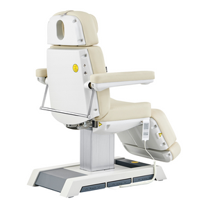 Dream In Reality Vanir Medical Chair (8218BYH): Beige, Back View