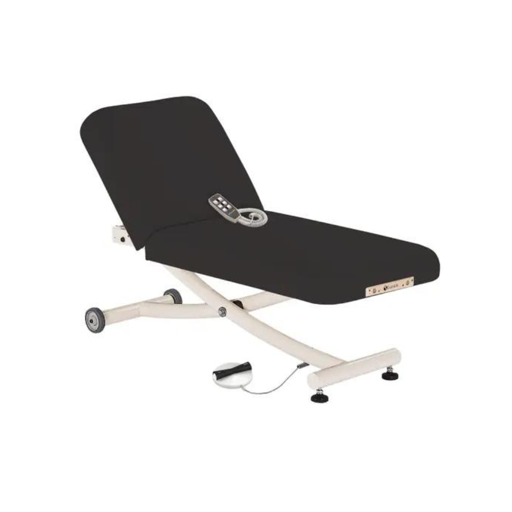 Earthlite Hand Control Earthlite Ellora Vista Electric Tilt Lift Massage Table - Medical Spa ...