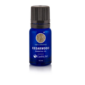 Essential Oils Single Notes Cedarwood