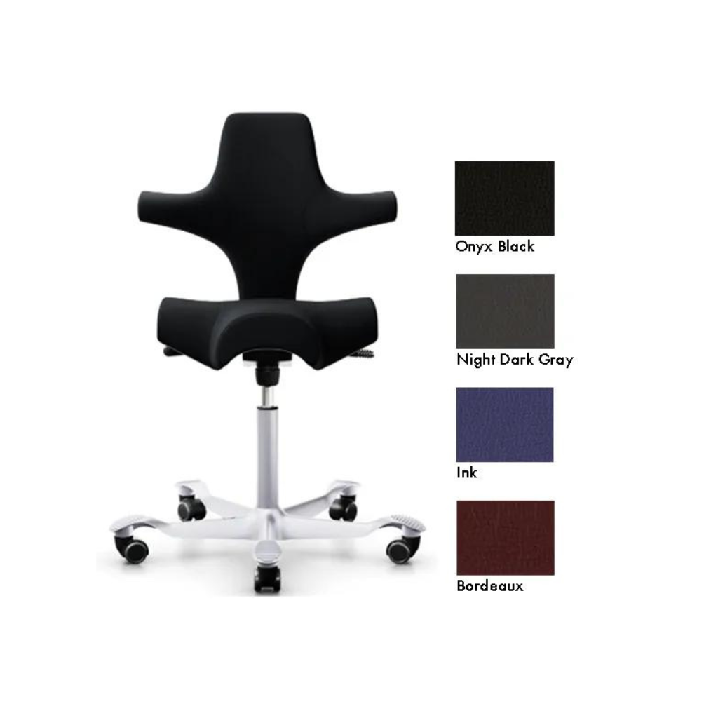 Oakworks HAG Capisco Chair with 4 Color Options