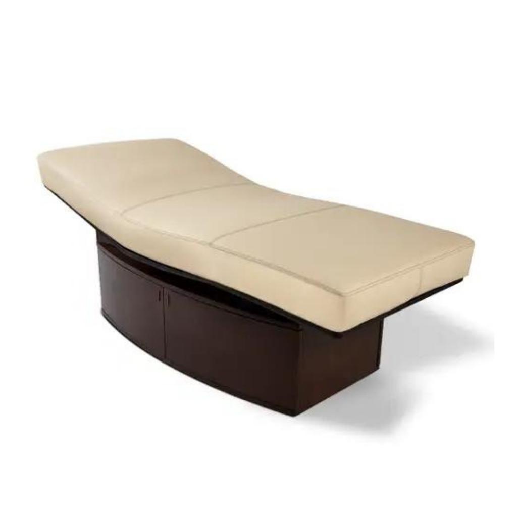 LEC INSIGNIA HORIZON™ Multi-Purpose Treatment Table with Replaceable Mattress