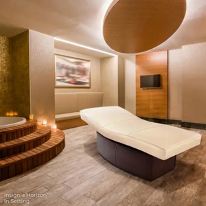 LEC INSIGNIA HORIZON™ Multi-Purpose Treatment Table with Replaceable Mattress