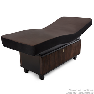 LEC INSIGNIA WAVERLY™ Multi-Purpose Treatment Table with Replaceable Mattress