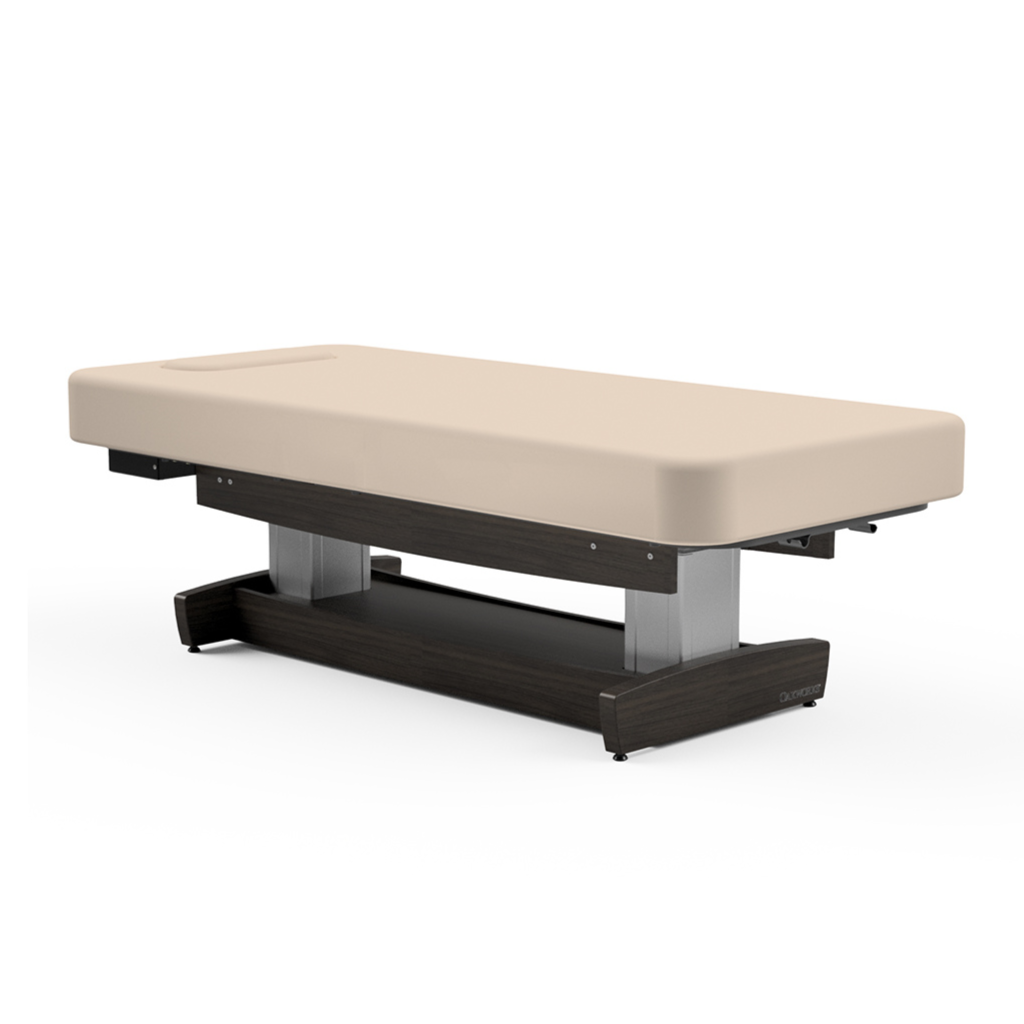 Oakworks Electric PerformaLift Table Flat Top
