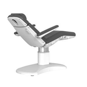 Silverfox Minimalist Facial Chair in Dark Grey Color - Back View (2270FB)