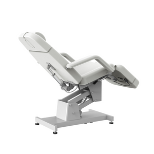 Silverfox Facial Bed / Estheticians Chair (2219B)