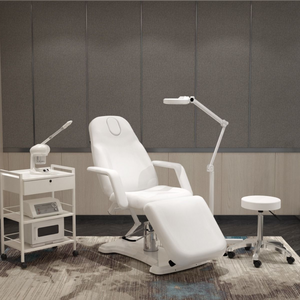 Silverfox Hydraulic Esthetician Facial Bed (2206A)
