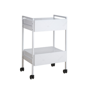 Back of Esthetician Trolley Cart professional