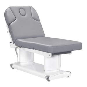 DIR Luxi 4 Motors Medical Spa Treatment Table (8838)