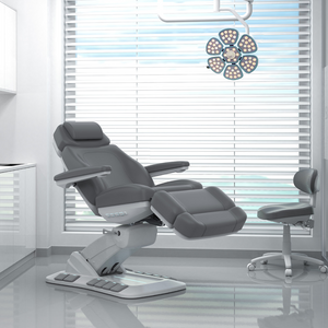 Upgrade Medical Spa Chair (2246EBN)